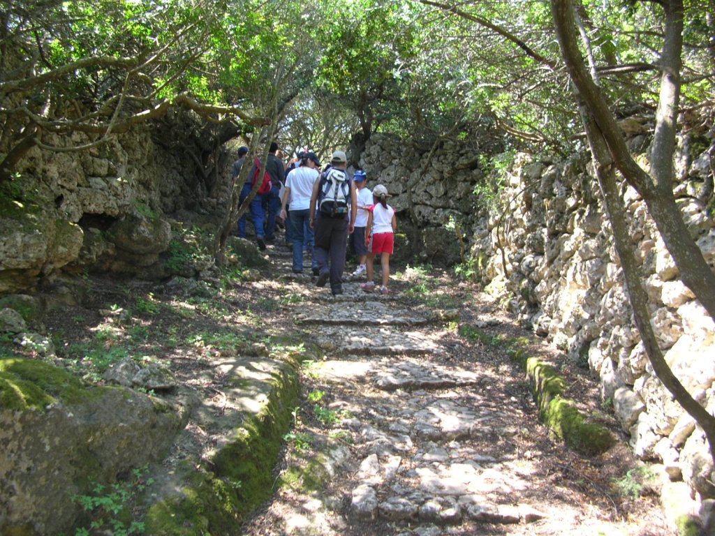 Excursió pel camins de Maó.