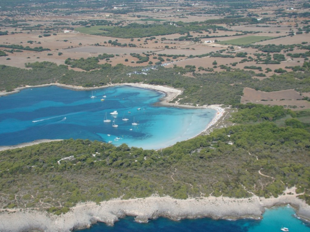 Son Saura té una gran diversitat d'ambients, amb plantes diferents