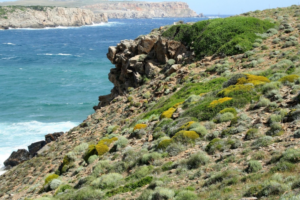 Punta Negra de Binidonaire