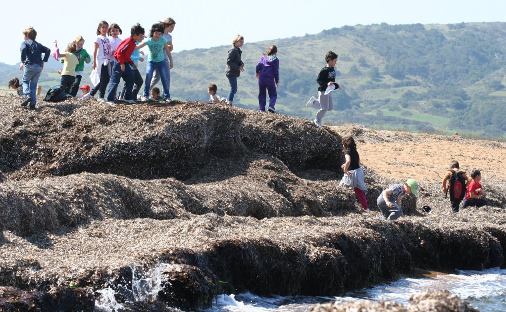 Infants jugant amb sa posidònia en una activitat ambiental a Binimel·là