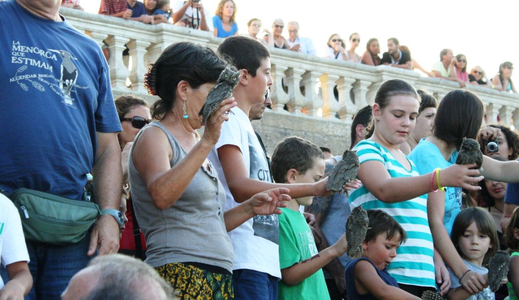 Alliberament de mussols a El Toro el passat mes d'agost