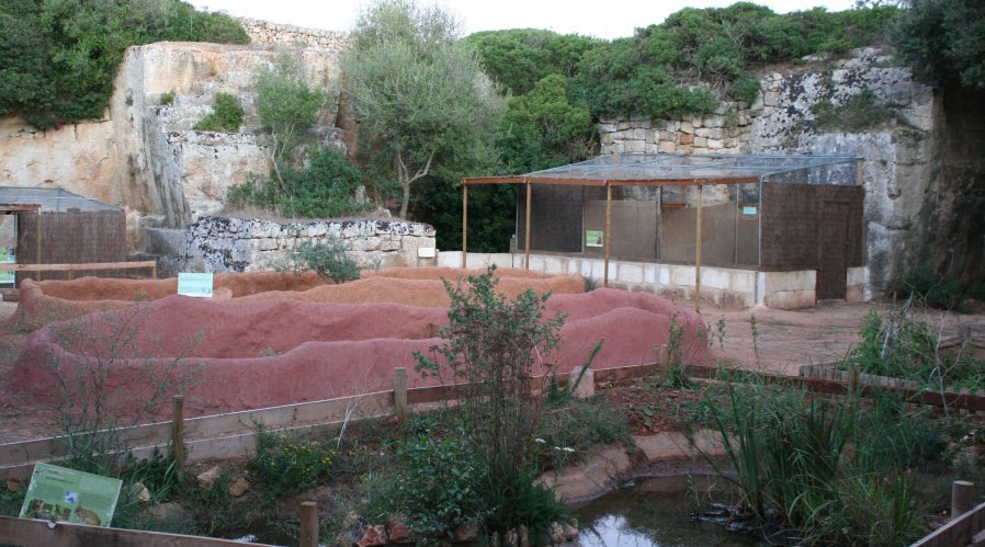 Aspecte del Centre de Recuperació, a les Pedreres de s'Hostal