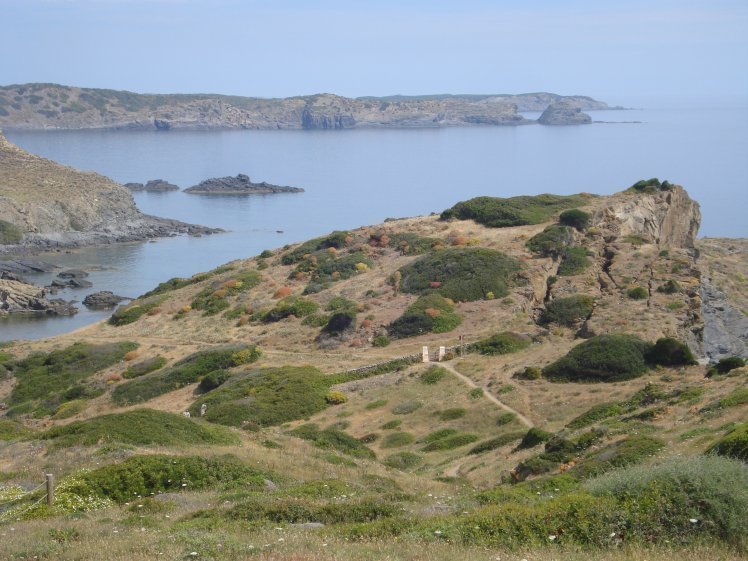 A la costa de tramuntana hi trobam molts dels tresors florístics de Menorca