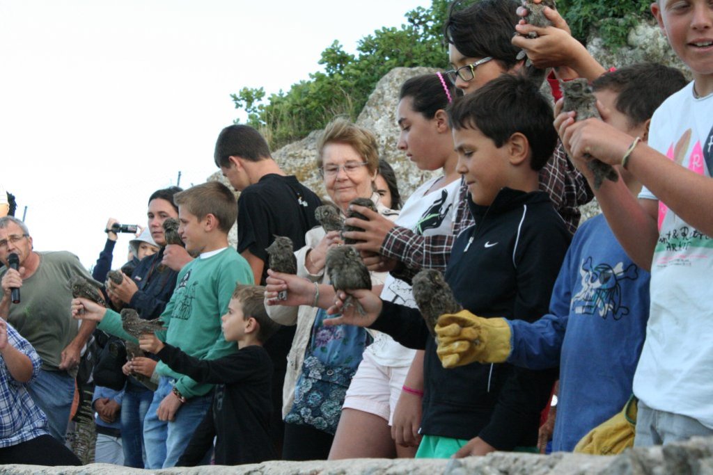 Amollada de polls de l'any passat