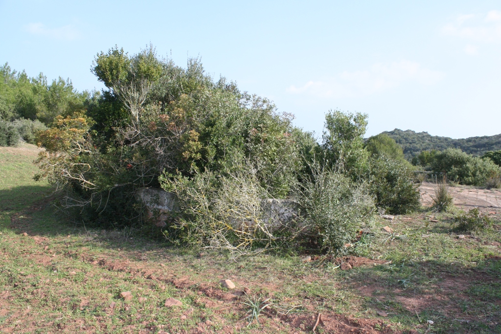 L'era abans de la neteja