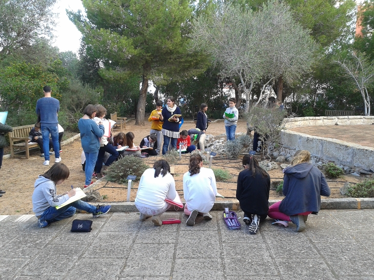 Miram les adaptacions de les plantes de Menorca al Parc Rubió i Tudurí.