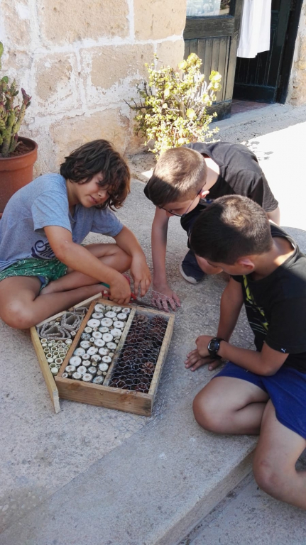 Construcció d'un hotel d'insectes