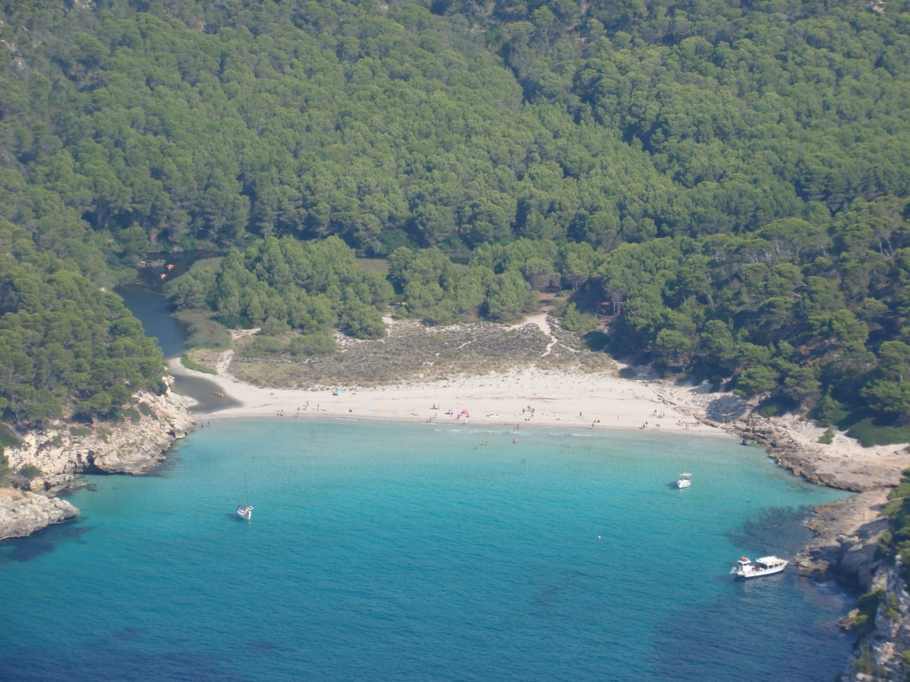 S'ha de treballar per recuperar la qualitat ambiental del torrent.