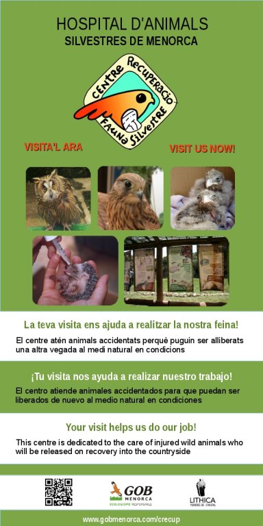 El setembre també podeu visitar l'hospital d'animals