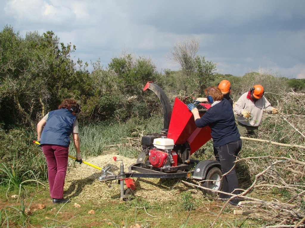 La capoladora fent la seva feina