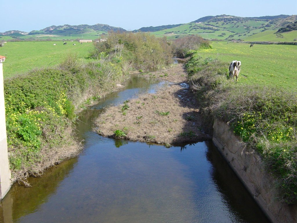 El torrent, abans de l'agressió.