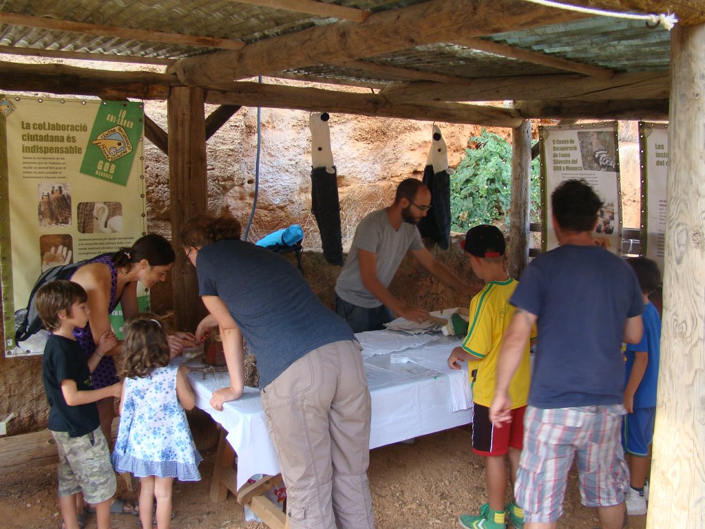 Participants de les darreres jornades