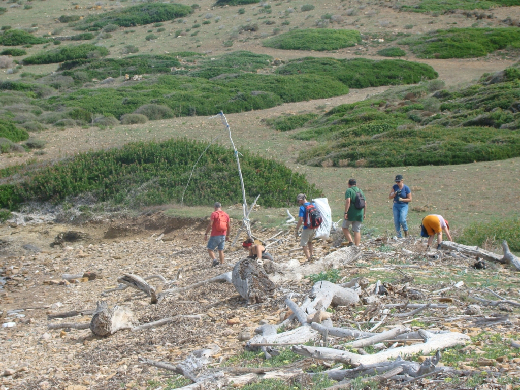 Jornada de voluntariat a Montgofre