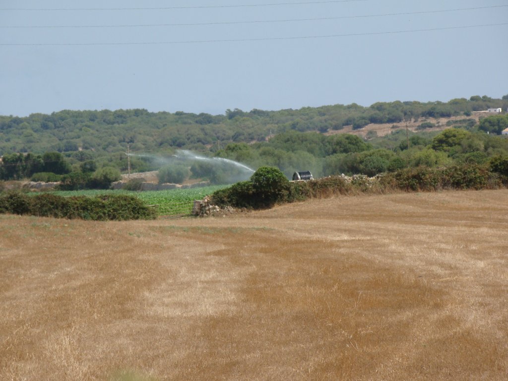 Finca de Ses Angoixes, a la una del migdia del mes d'agost