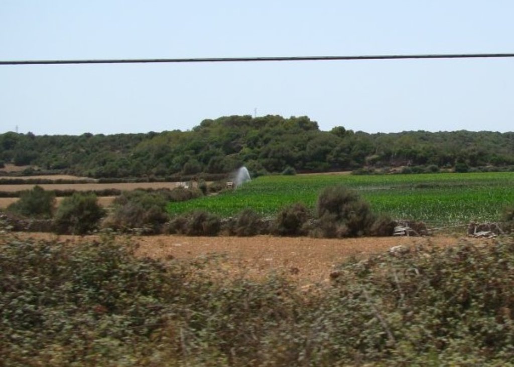 Lloc de Ses Tavernes, a la una del migdia del mes d'agost.