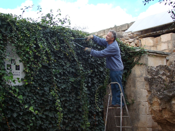 Retallant vegetació gàbies