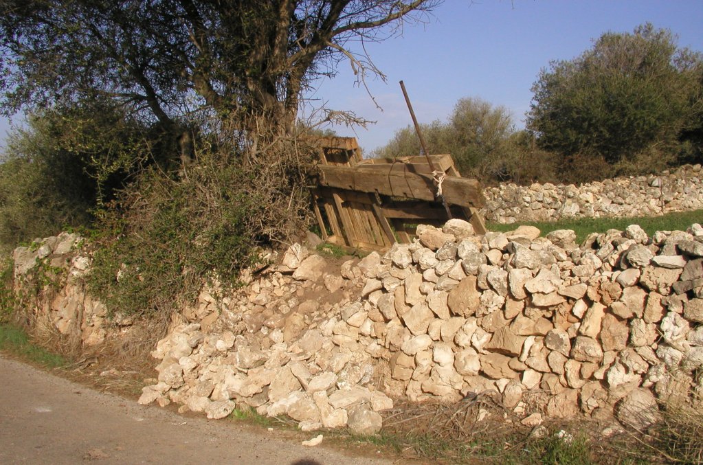 S'han comptat 74 enderrossalls als camins de les platges del sud de Ciutadella.