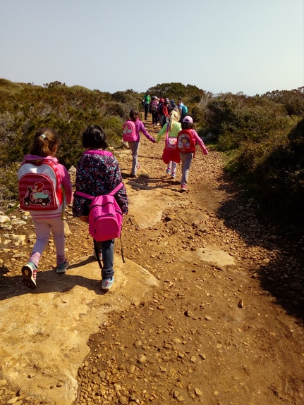 Descobrim les plantes del camí de cavalls entre Punta Prima i Alcaufar.