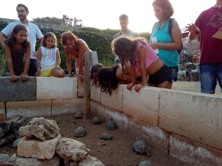 Visita el tancat de tortugues mediterrànies del Centre