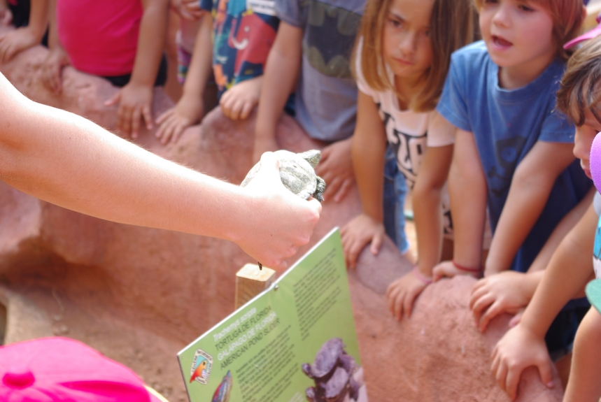 Aprenem la diferència entre animals autòctons i exòtics, a l'Hospital d'Animals.