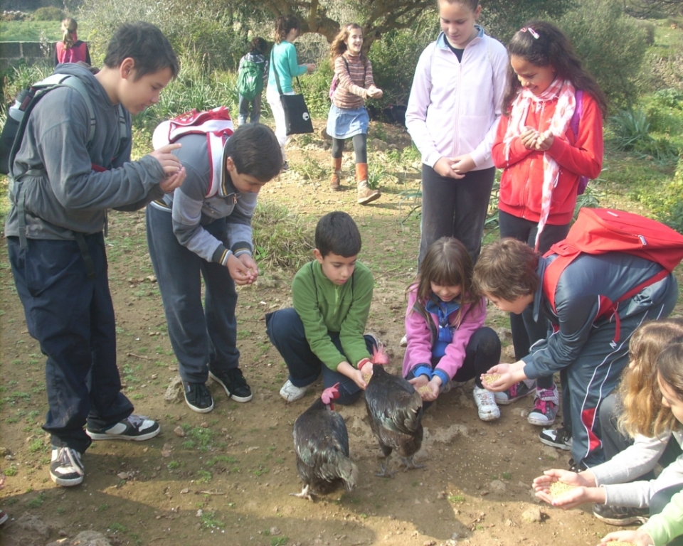 Agricultura sostenible a Visitam un Lloc.