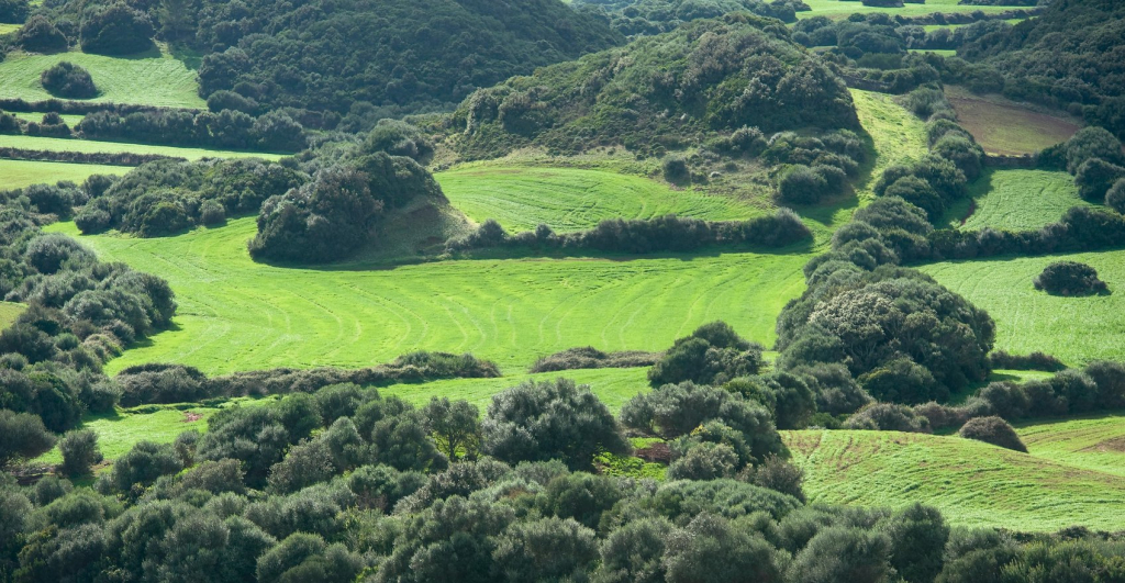 El paisatge en mosaic de Menorca té molts de valors afegits