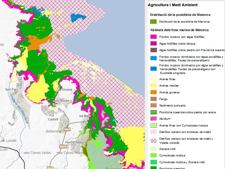 Posidònia, segons cartografia digital IDE Menorca