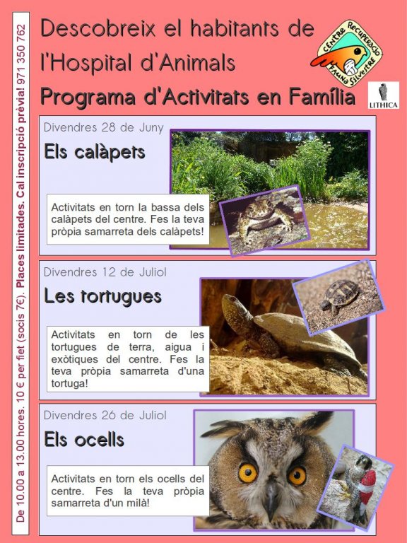 Programa d'Activitats en Família al Centre de Recuperació