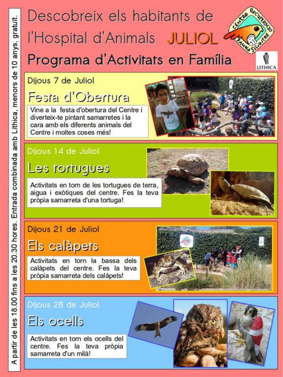 Aquest estiu no tens excusa per no venir a l'Hospital d'Animals