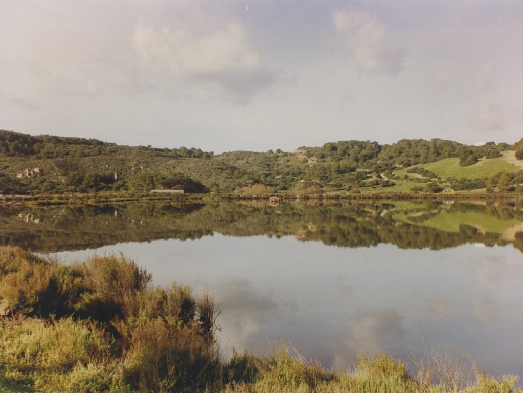 Zona humida de Mongofra Nou