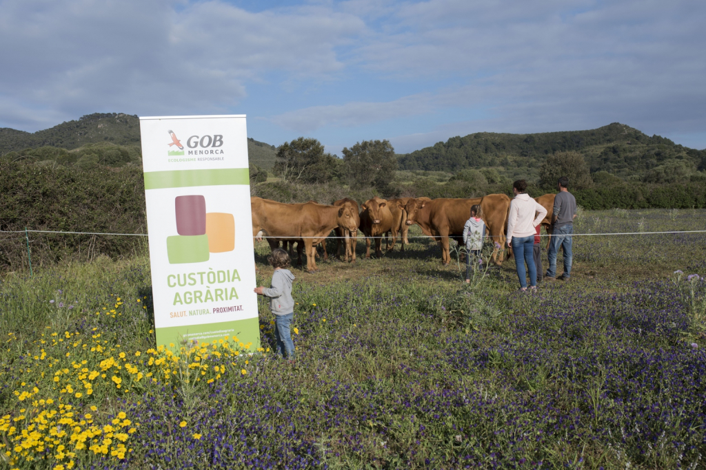 Races autòctones, pasturatge dirigit i autosuficiència en l'alimentació del bestiar. Elements claus per reduir la petjada ecològica de la producció de carn.